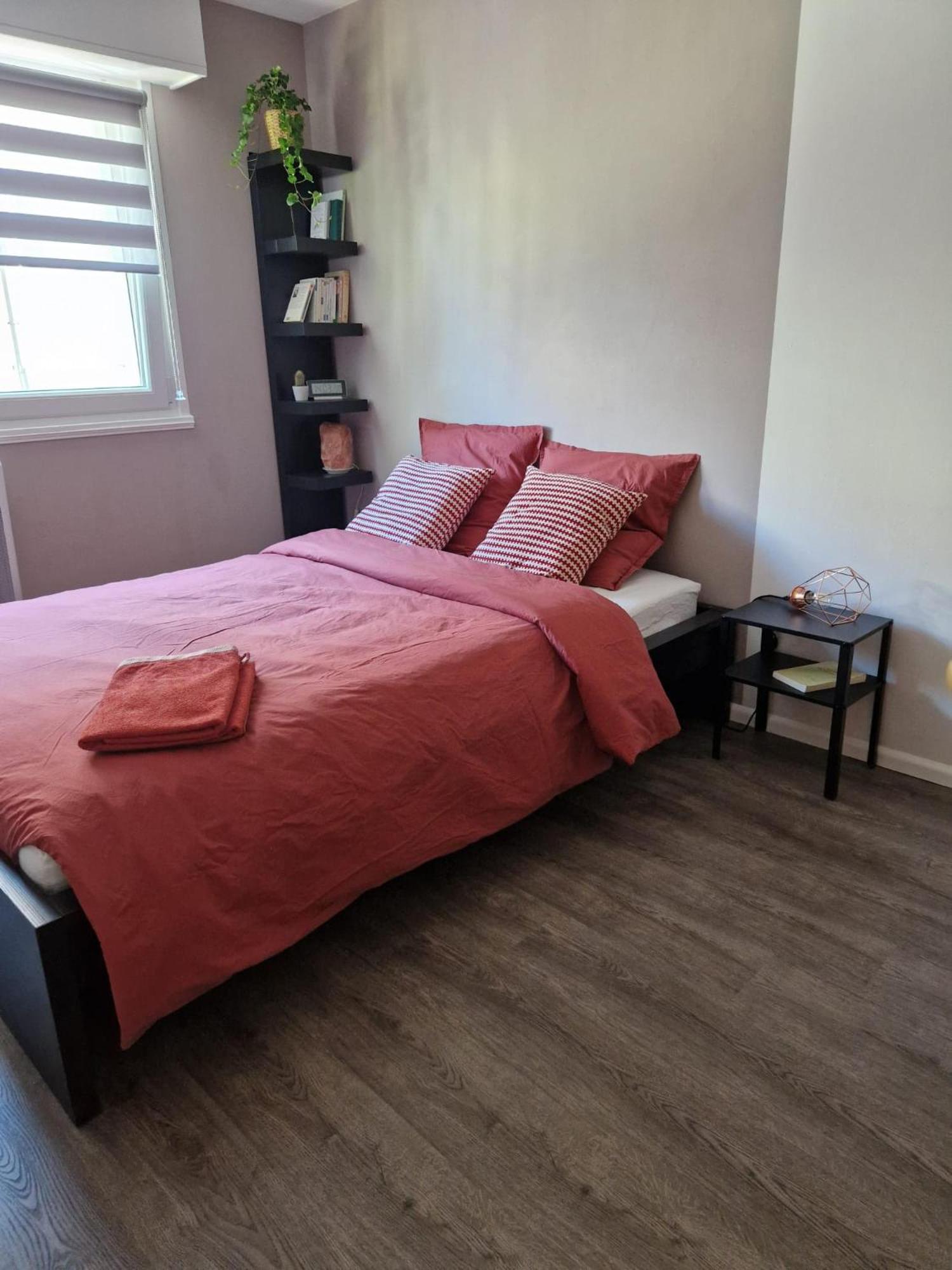 Robertsau Tres Bel Appartement Strasbourg Eksteriør bilde