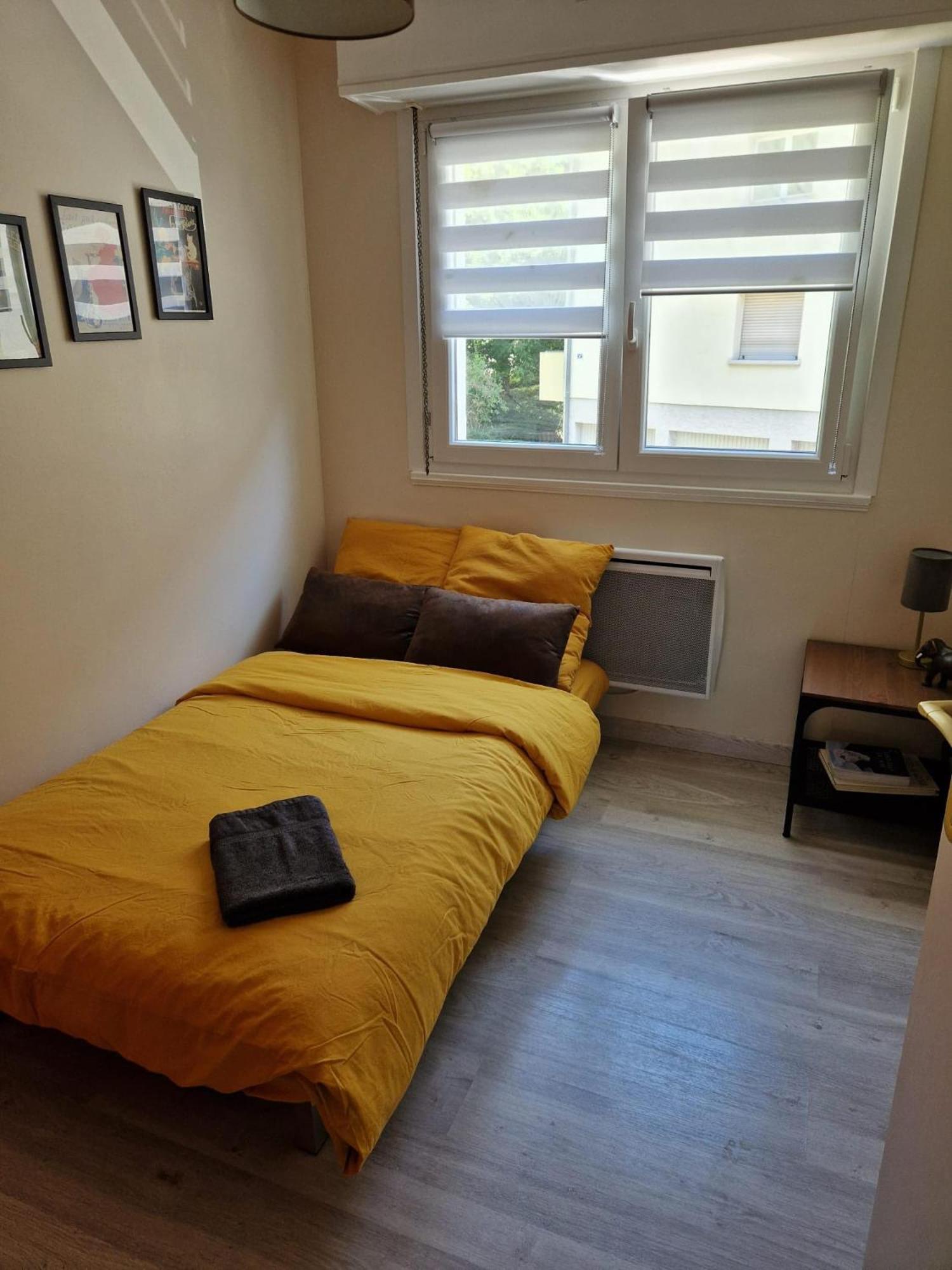 Robertsau Tres Bel Appartement Strasbourg Eksteriør bilde